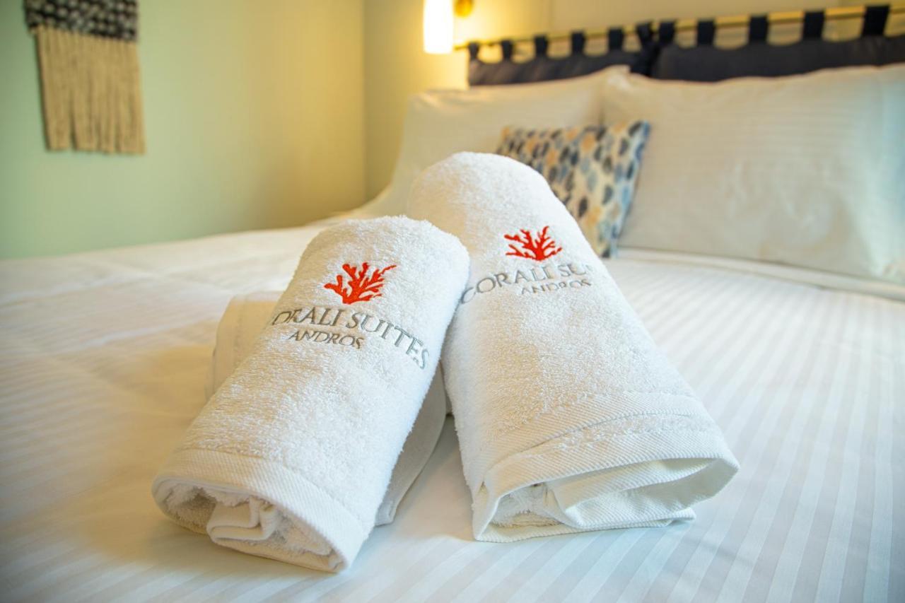 Corali Suites Andros バトシ エクステリア 写真